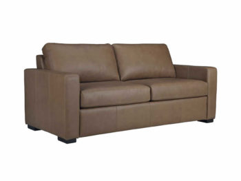 Leather Sofa Beds
