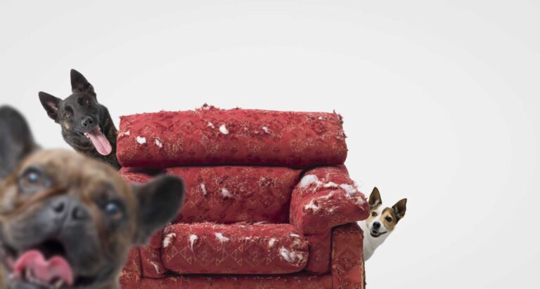 Signs it’s finally time to replace your sofa.